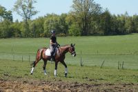 cascarda_gal_dsc05288