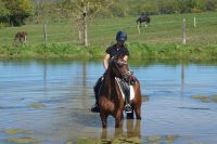 cascarda_gal_dsc05335