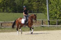 fantina_gal_dsc03657