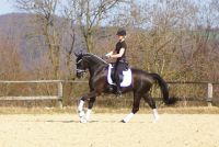 fiorello_gal_dsc01376