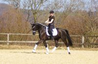 fiorello_gal_dsc01950