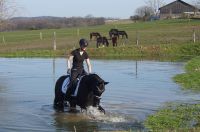 fiorello_gal_dsc02555