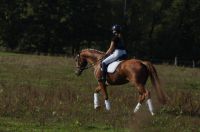 floreana_gal_dsc06871