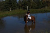 floreana_gal_dsc07014