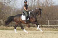 foursocks_gal_dsc00070