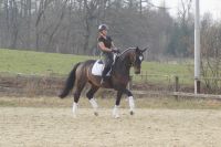 foursocks_gal_dsc00607