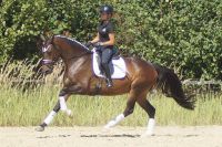 hillary_gal_dsc01049