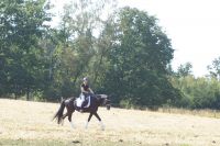 levandano_gal_dsc06879