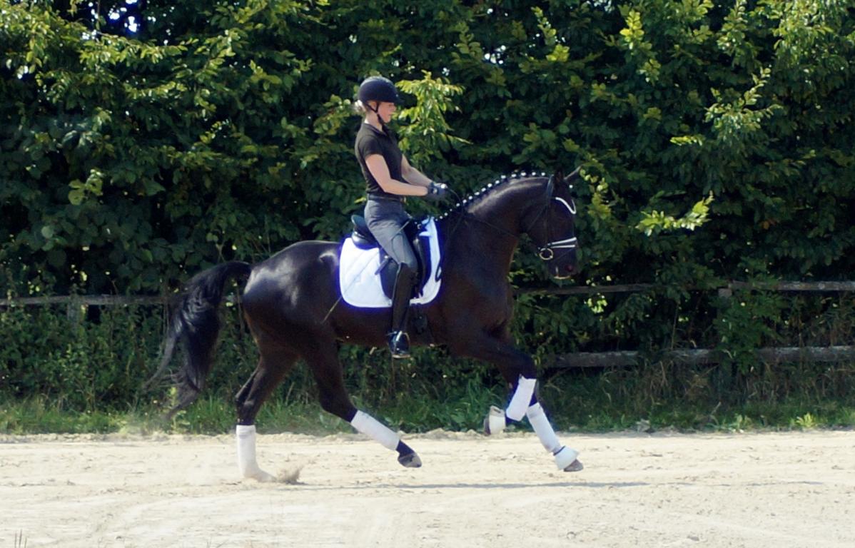 Fiorino