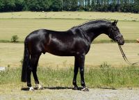 Galeriebild