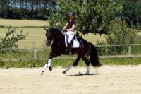 Galeriebild