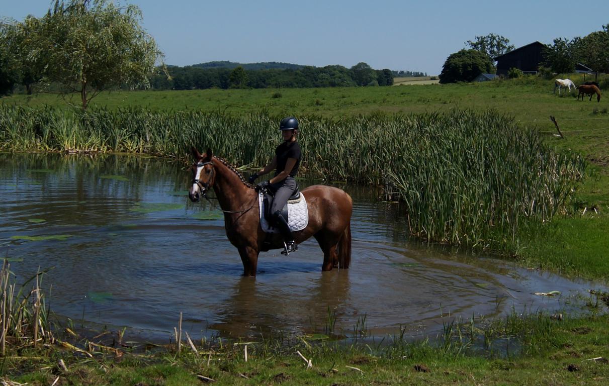 Galeriebild