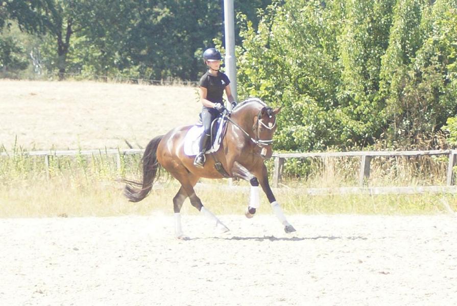 Galeriebild