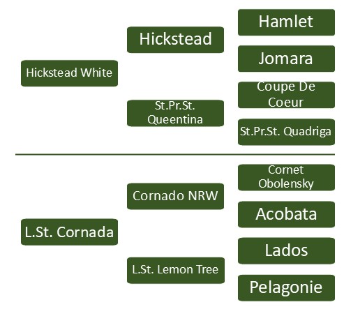 Pedigree