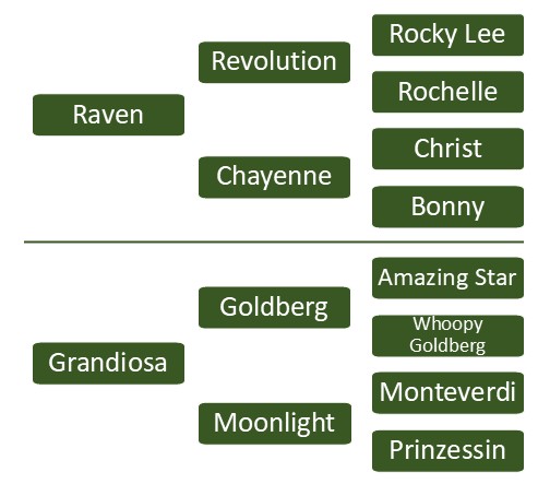 Pedigree