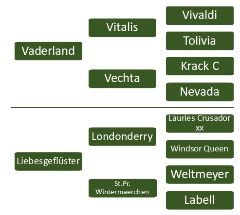 Pedigree