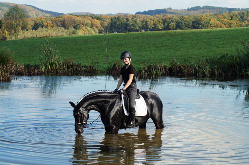 Unser Teich, in dem sich auch gerne die Pferde mal eine Abkühlung gönnen. Image