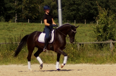 thumb_DSC03412