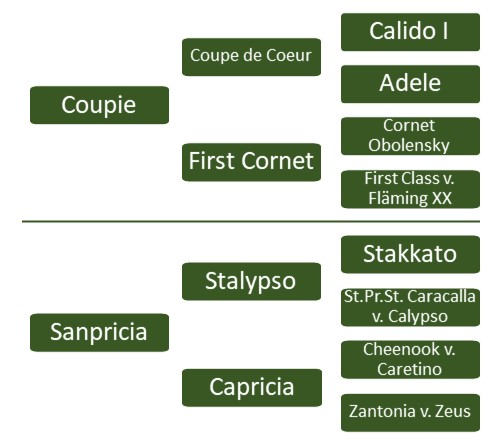 Carinjo