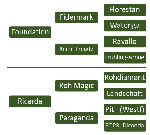 PedigreeFoundira