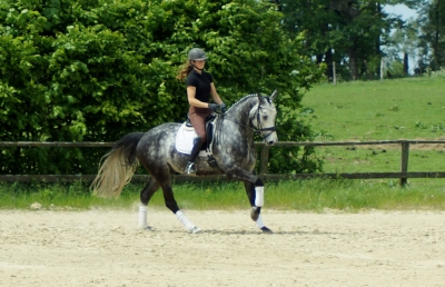 thumb_DSC04288