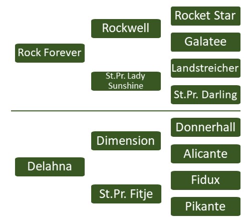 Rikolina